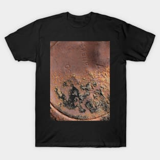 Textures  Rust Metal T-Shirt